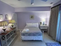 비치에서 몇 분 거리, 펫프렌들리 아일랜드 타임