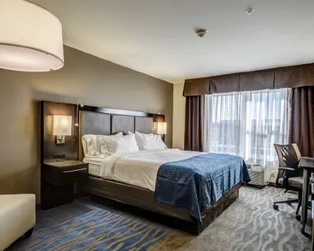 Holiday Inn Express & Suites ST. LOUIS WEST-O'FALLON by IHG Hotels in St. Charles County