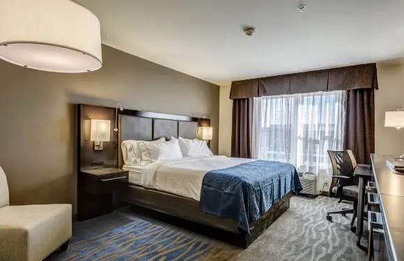 智選假日套房酒店聖路易斯西奧法隆