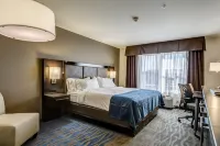 Holiday Inn Express & Suites ST. Louis West-O'Fallon Hotels in O'Fallon