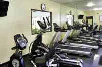 Holiday Inn Express & Suites BIRMINGHAM SOUTH - PELHAM by IHG - Gym