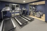 Holiday Inn MARQUETTE by IHG - Gym