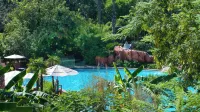 Disney's Animal Kingdom Lodge - Uima-altaat