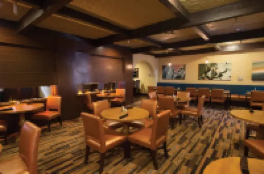 DoubleTree Suites by Hilton Tucson - Williams Center