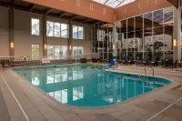 DoubleTree by Hilton Burlington Vermont - Pools