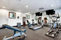 Holiday Inn Express & Suites RACELAND - HIGHWAY 90 by IHG - Gym