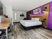 La Quinta Inn by Wyndham Amarillo Mid-City Hotels near Bill's Backyard Classics