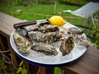 The Quail's Nest Retreat