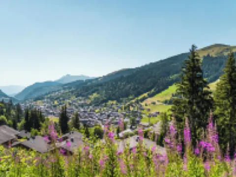 Résidences Delavay la Cordée Hotels in Les Gets