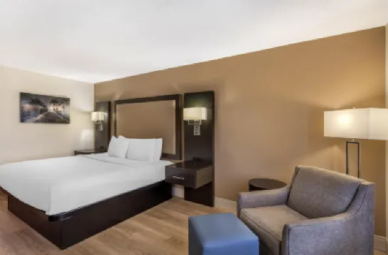 Best Western Plus Madison Inn Hotels in 