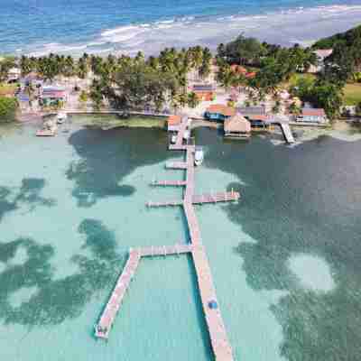 Blue Marlin Beach Resort Hotel Exterior