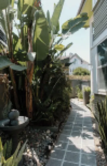 Outsite 聖迭戈- 金山