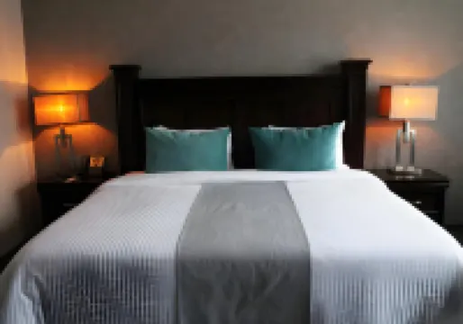 Gran Hotel Concordia San Luis Potosi Hotels in 