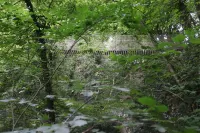 Peaceful Ardennes Getaway for 4 Guests - Chalets