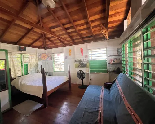 Treetop Beachfront Cabana Hotels in Placencia