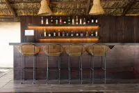 Artisan Playa Esmeralda Family Beach Hotel - Bares