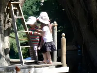 Cherry Top Farmstay - Boutique Eco Village - Pools