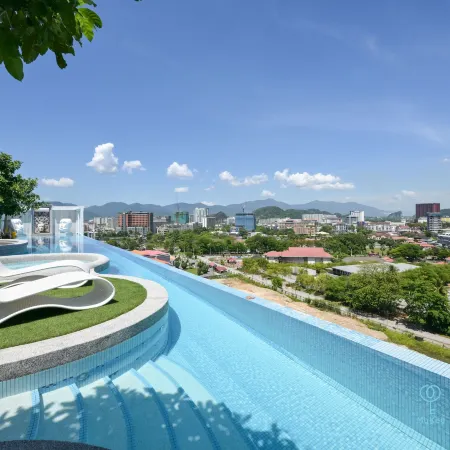 Stallionz by Mana Mana