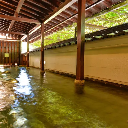 Ooedo Onsen Monogatari Hotel Shinko
