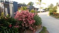 Shady Rest Motel