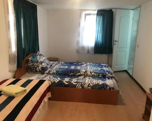 Pensiunea Alexa Hotels in Bacau