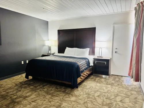 Alamo Inn & Suites