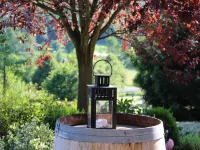 Hotel Tannenhof - Homestays
