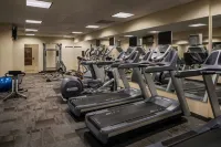 達文波特酒店-傲途格精選酒店 - 健身室/gym room