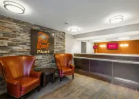 Red Roof Plus+ South Deerfield - Amherst - acceptant les animaux