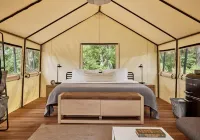 AutoCamp Catskills - 3 estrellas