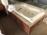 Holiday Inn Express HOLLAND by IHG - Hot Tub