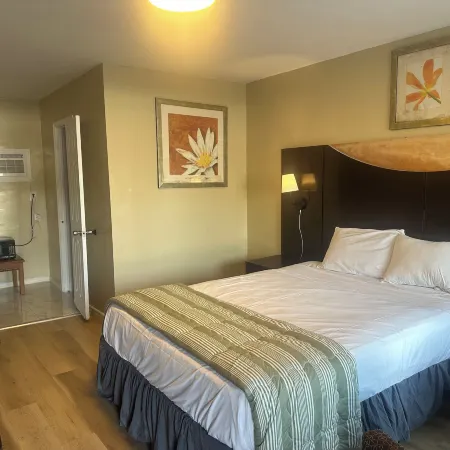 American Plaza Motel