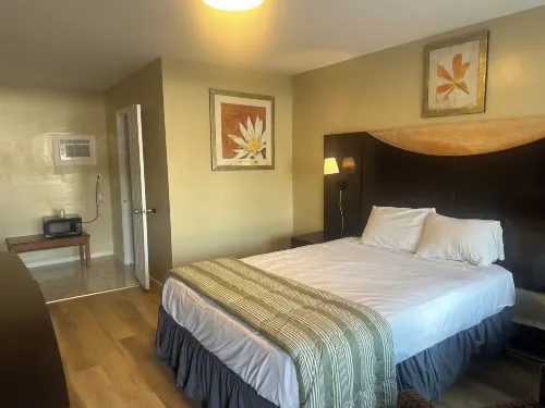 American Plaza Motel - Motels
