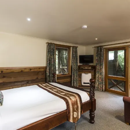 Cradle Forest Inn