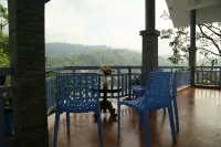 1 Bedroom with Balcony Mountain View