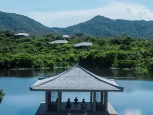 慶和省的 10 大奢華飯店