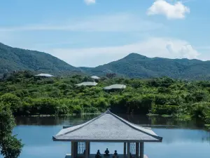 Khách sạn sang trọng Phổ Biến Tại Việt Nam