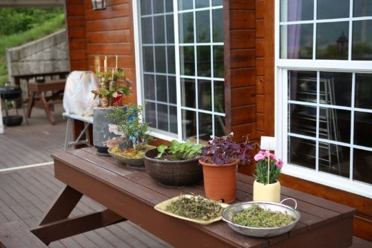 충주호 뷰 테라스