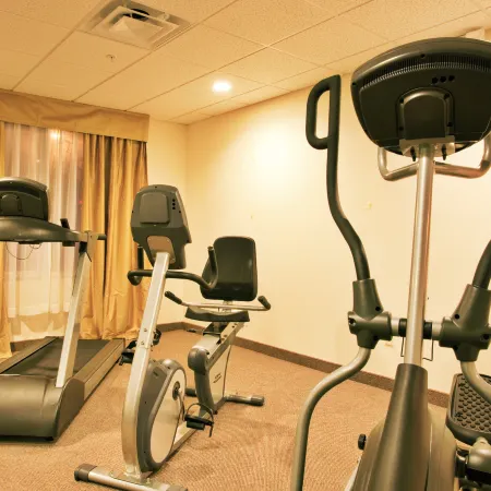 Holiday Inn Express & Suites BROOKSVILLE-I-75 by IHG