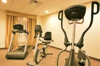 Holiday Inn Express & Suites BROOKSVILLE-I-75 by IHG - Gym