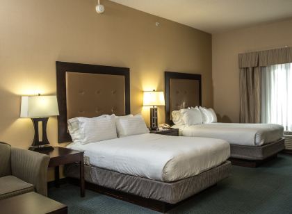 Holiday Inn Express & Suites Detroit-Novi