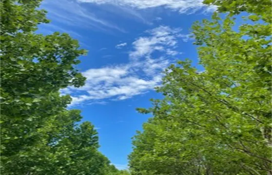 房東小云雲公寓（王東線分店）