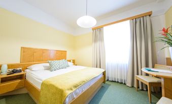 Hotel Toplice - Terme Krka - Housity