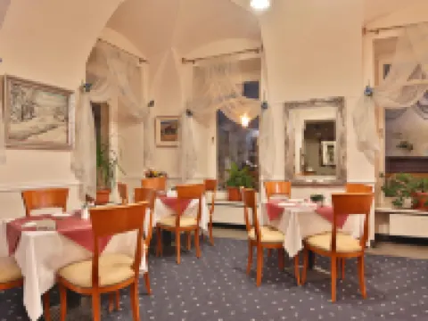 Belvedere Wellness Hotel Hotels in Marianske Lazne