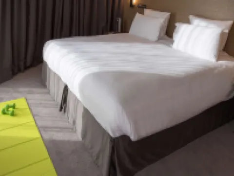 巴黎戴高樂機場客運大樓麗笙酒店 弗朗斯地區特朗布萊酒店