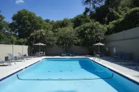 Holiday Inn Express ATHENS-UNIVERSITY AREA by IHG - Pools