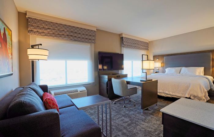 Hampton Inn & Suites by Hilton Lubbock University