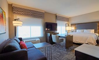 Hampton Inn & Suites by Hilton Lubbock University