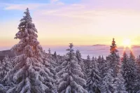 John Muir Lodge, Grant Grove Cabins - Kings Canyon Natl Park