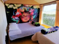 Room in Lodge - Lucsay Titicaca Lodge